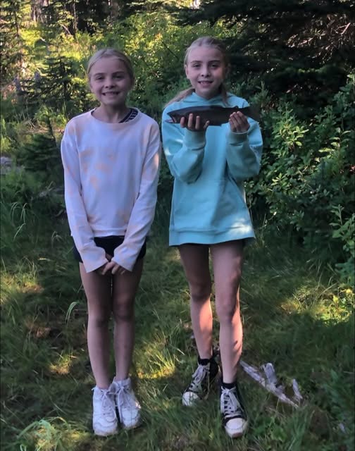 Urgent Search for Missing Twin Sisters in Boundary County, Idaho – Community’s Help Needed